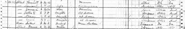 1880 US Census Bennett and Louisa Strait